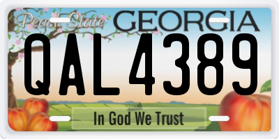 GA license plate QAL4389