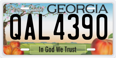 GA license plate QAL4390