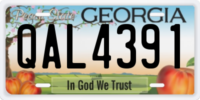 GA license plate QAL4391