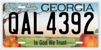 GA license plate QAL4392