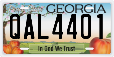 GA license plate QAL4401