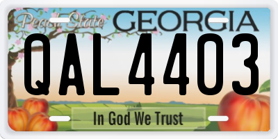 GA license plate QAL4403