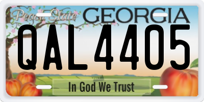 GA license plate QAL4405