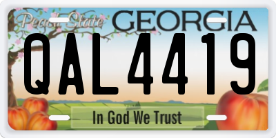 GA license plate QAL4419