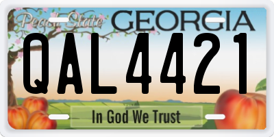 GA license plate QAL4421