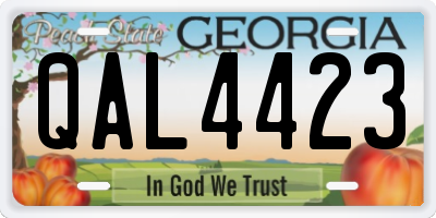 GA license plate QAL4423