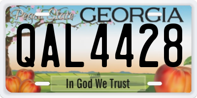 GA license plate QAL4428