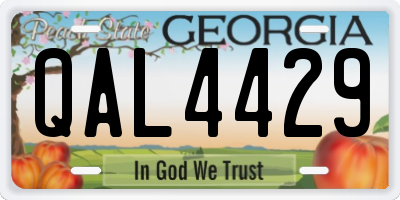 GA license plate QAL4429