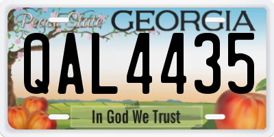 GA license plate QAL4435