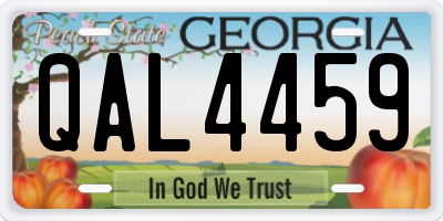 GA license plate QAL4459