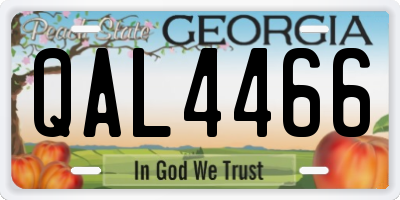 GA license plate QAL4466