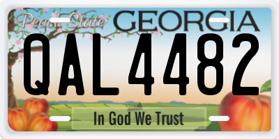 GA license plate QAL4482