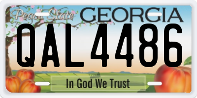 GA license plate QAL4486