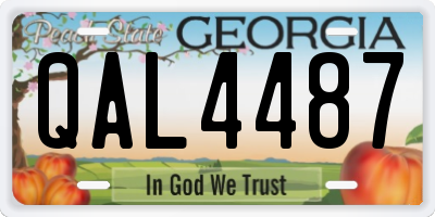 GA license plate QAL4487