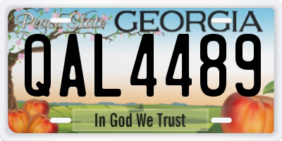 GA license plate QAL4489