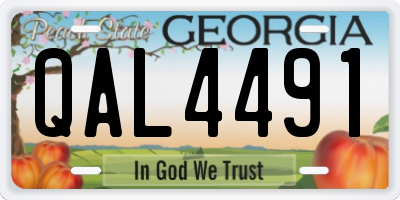 GA license plate QAL4491