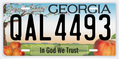 GA license plate QAL4493