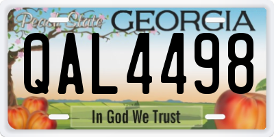 GA license plate QAL4498