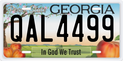 GA license plate QAL4499