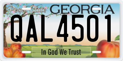 GA license plate QAL4501