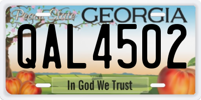 GA license plate QAL4502