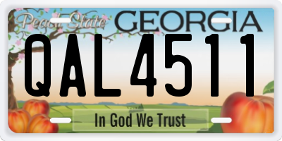 GA license plate QAL4511