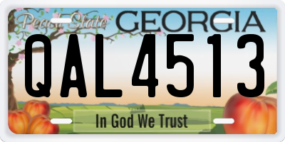 GA license plate QAL4513