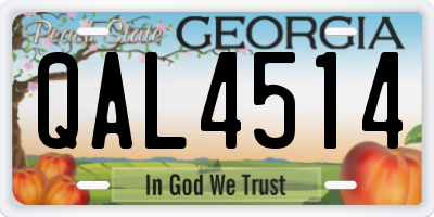 GA license plate QAL4514