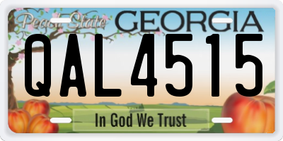 GA license plate QAL4515