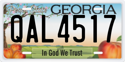 GA license plate QAL4517