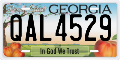 GA license plate QAL4529