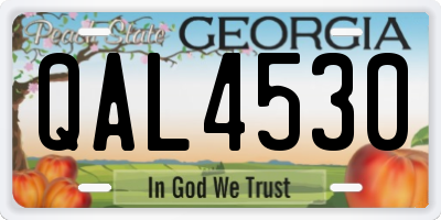 GA license plate QAL4530