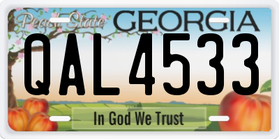 GA license plate QAL4533