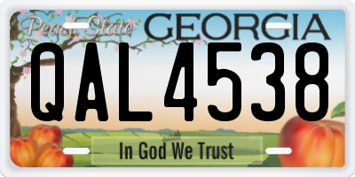 GA license plate QAL4538