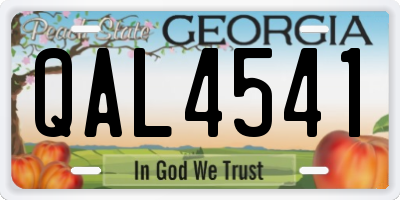 GA license plate QAL4541