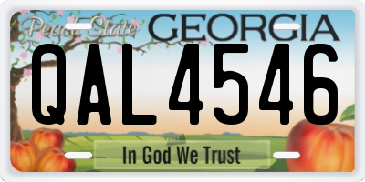 GA license plate QAL4546