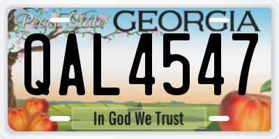 GA license plate QAL4547