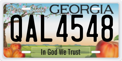 GA license plate QAL4548