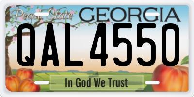 GA license plate QAL4550