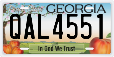 GA license plate QAL4551