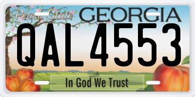 GA license plate QAL4553