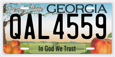 GA license plate QAL4559