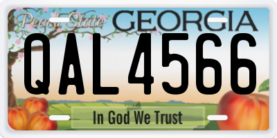 GA license plate QAL4566