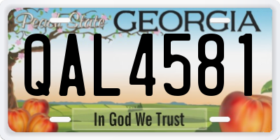 GA license plate QAL4581