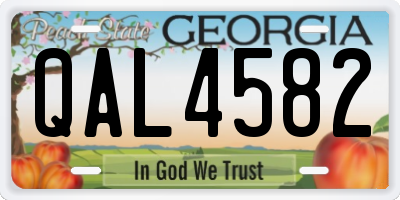 GA license plate QAL4582