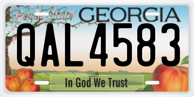 GA license plate QAL4583