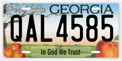 GA license plate QAL4585