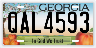 GA license plate QAL4593