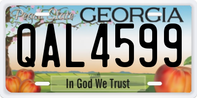 GA license plate QAL4599