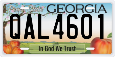 GA license plate QAL4601